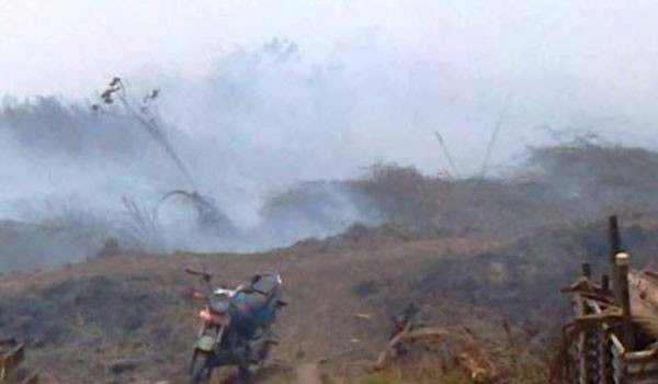 Kemarau yang melanda Tanjabtim kembali membakar lahan milik warga